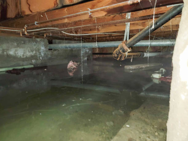 Best Water damage restoration near me  in White Island Shores, MA