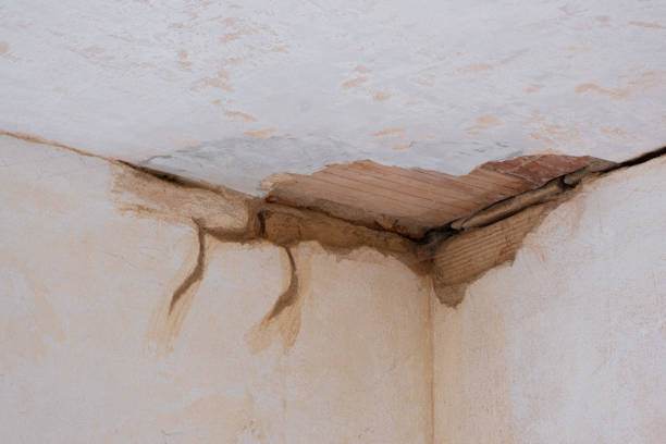 Best Water damage restoration near me  in White Island Shores, MA